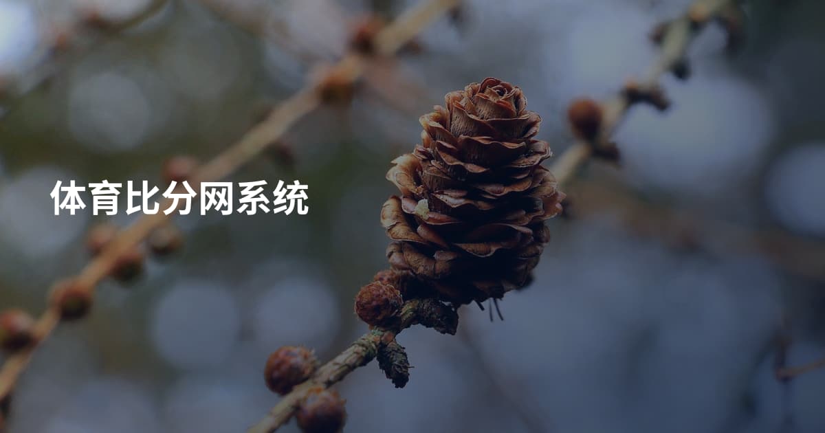 体育比分网系统