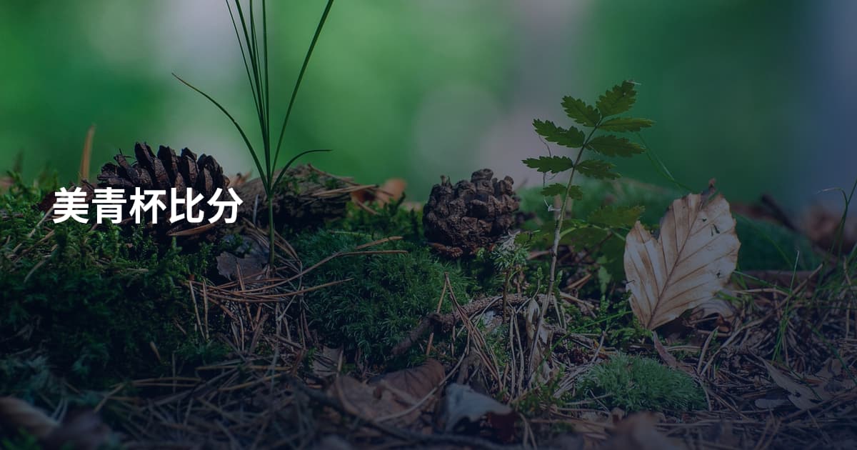美青杯比分