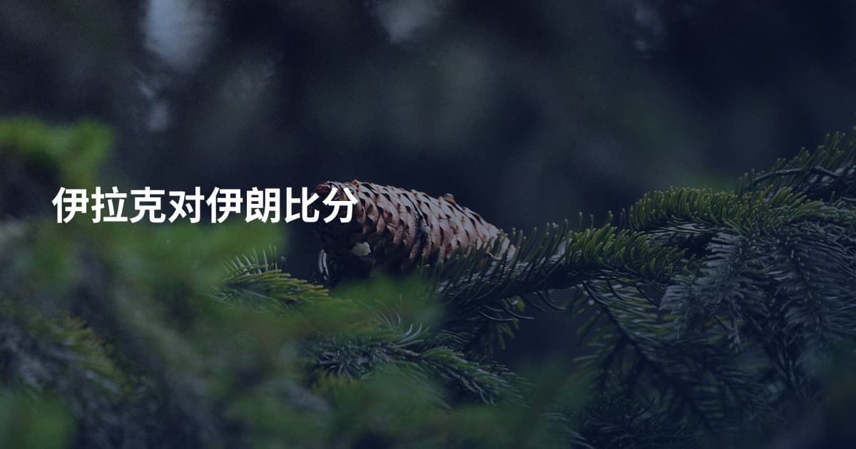 伊拉克对伊朗比分