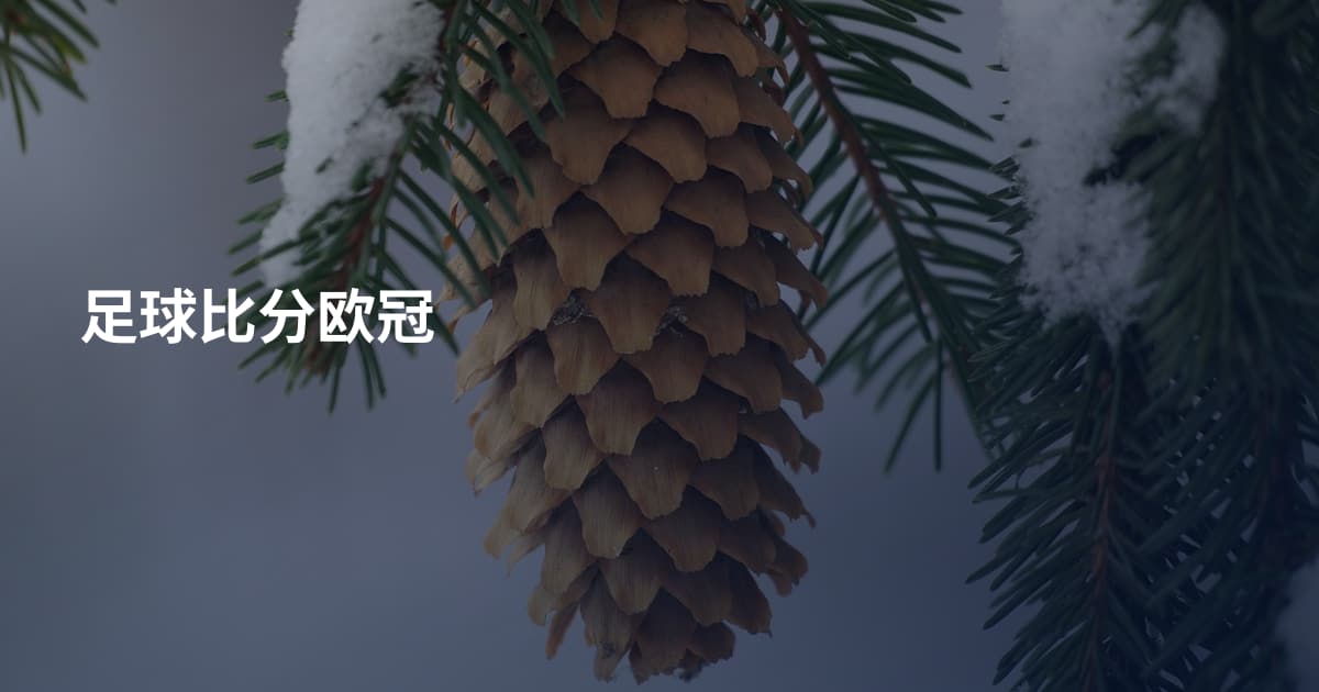 足球比分欧冠