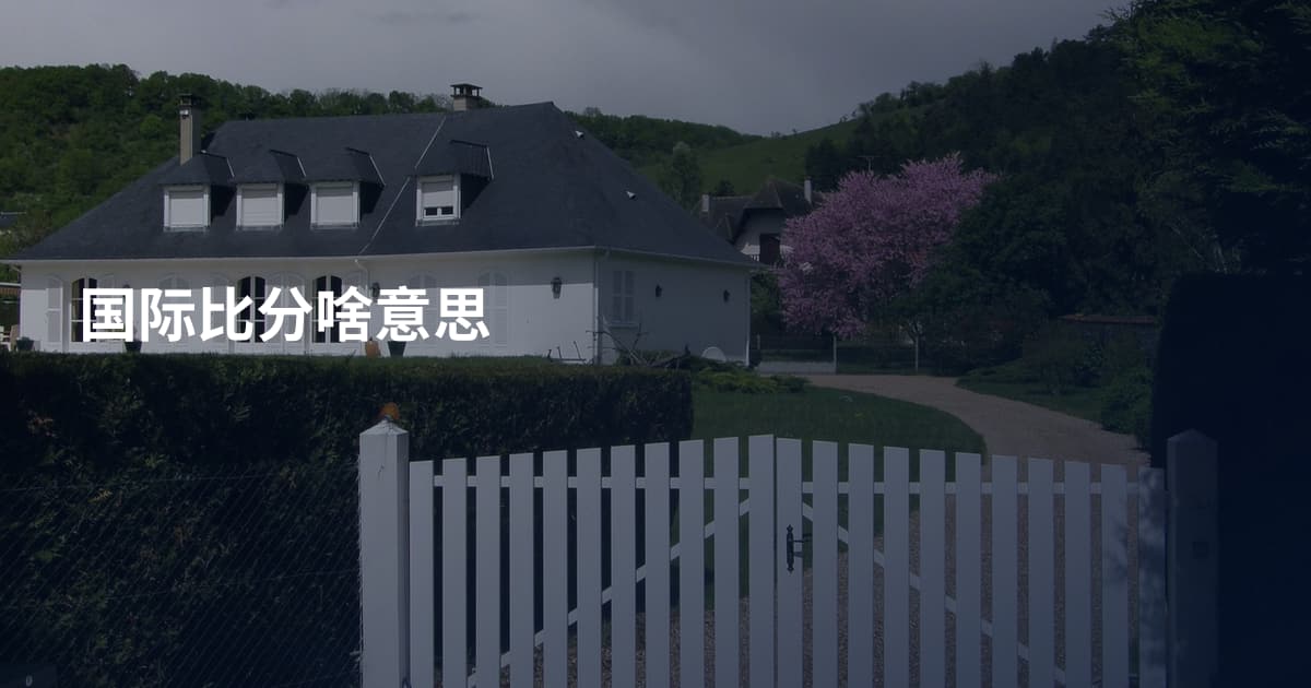 国际比分啥意思