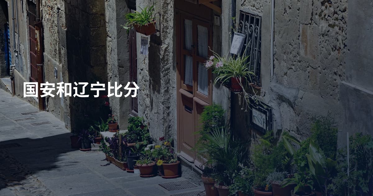 国安和辽宁比分