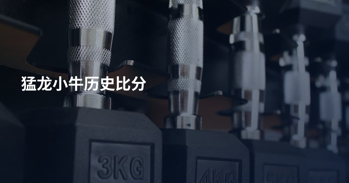 猛龙小牛历史比分