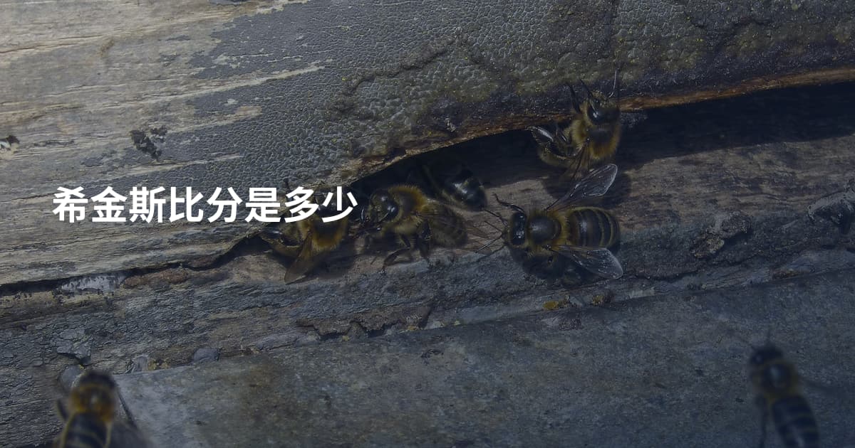 希金斯比分是多少