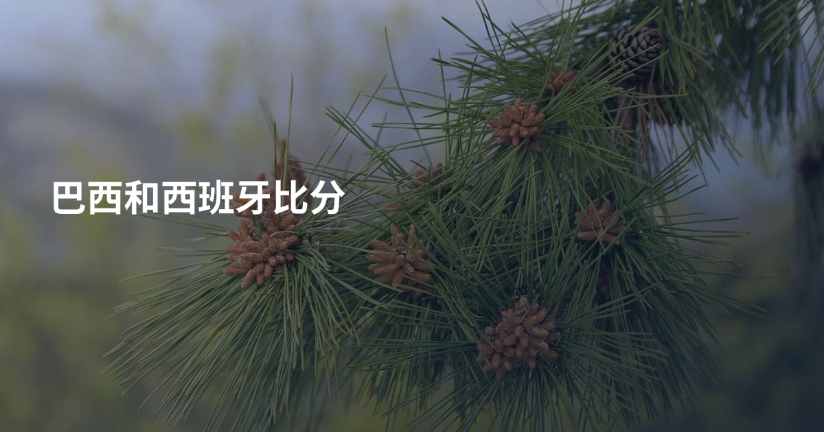 巴西和西班牙比分