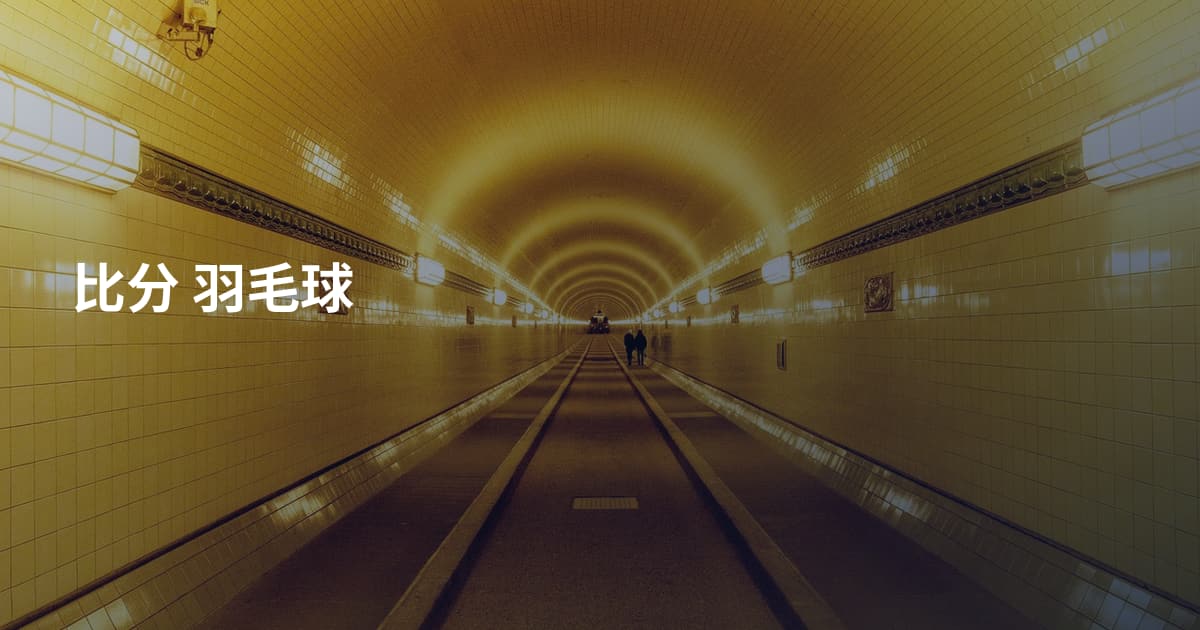 比分 羽毛球