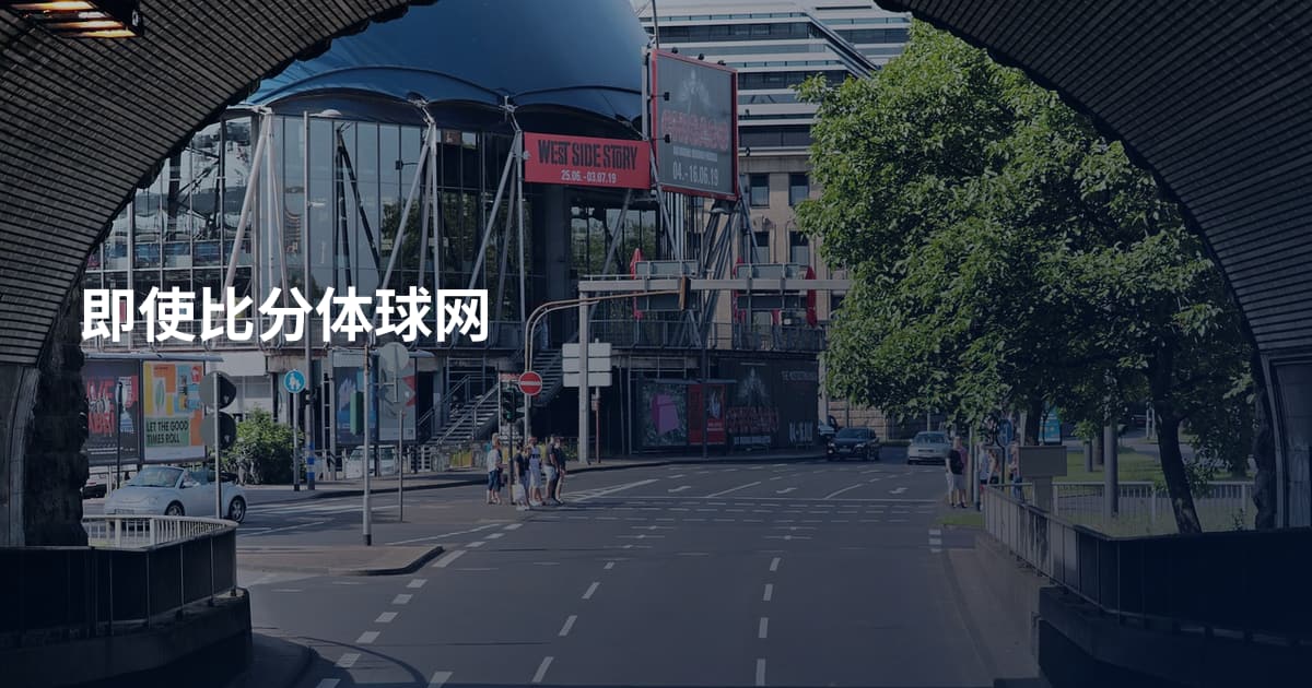 即使比分体球网