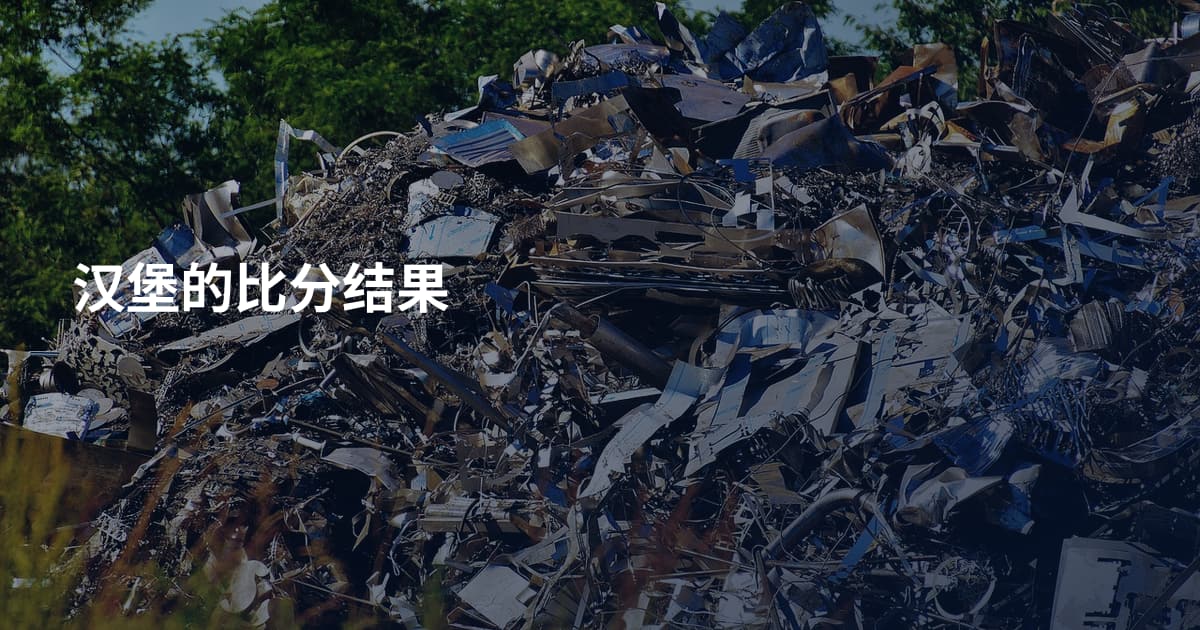 汉堡的比分结果