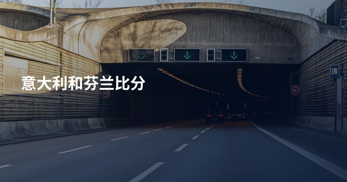 意大利和芬兰比分