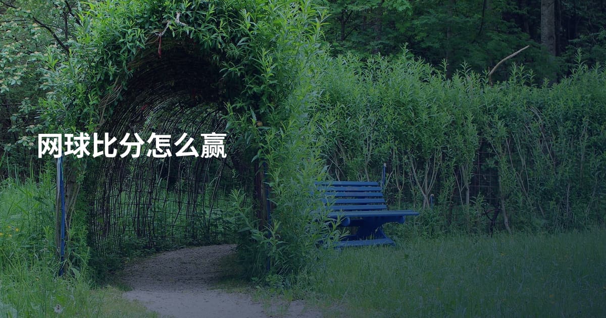 网球比分怎么赢