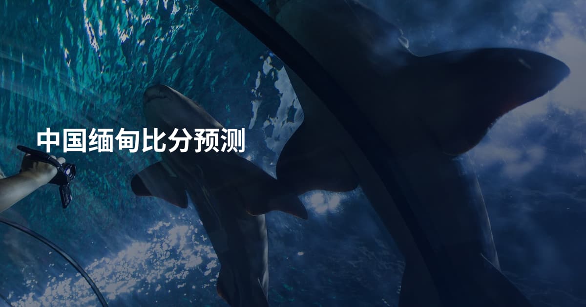 中国缅甸比分预测