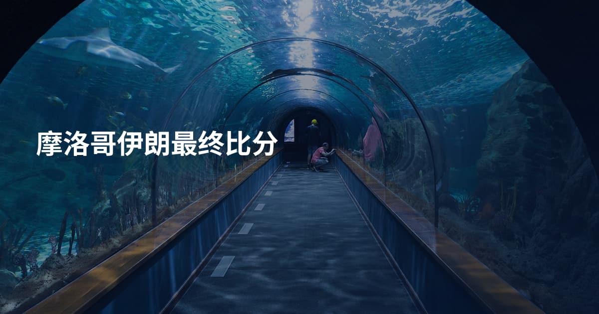 摩洛哥伊朗最终比分
