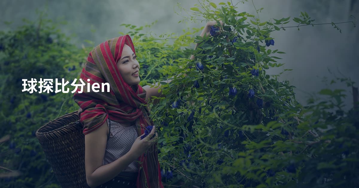 球探比分ien