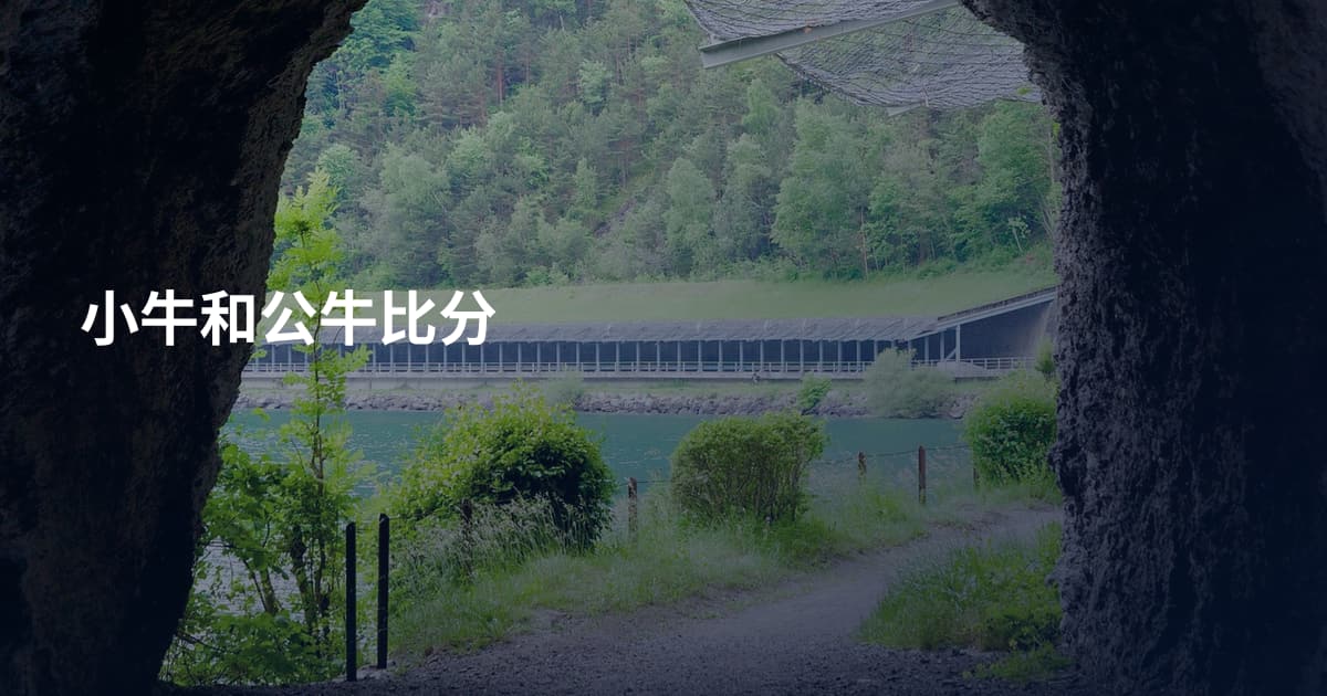 小牛和公牛比分