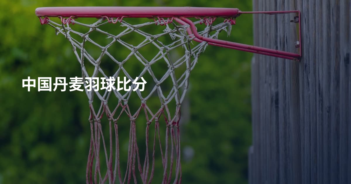 中国丹麦羽球比分
