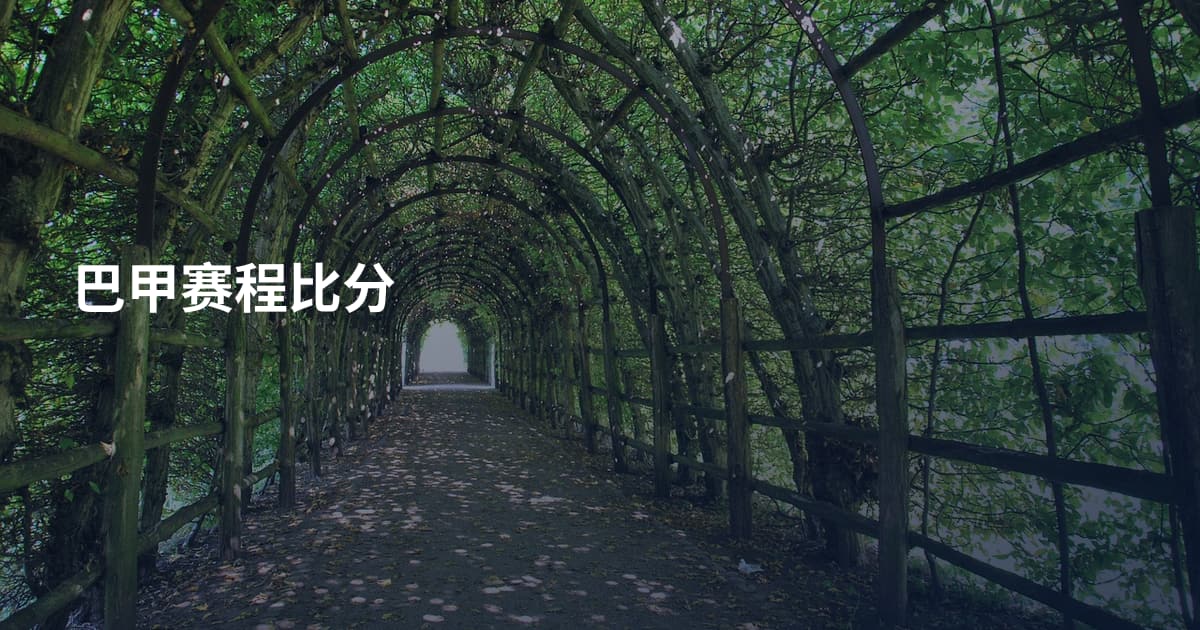 巴甲赛程比分