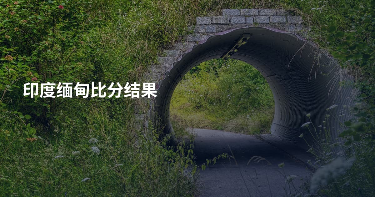 印度缅甸比分结果