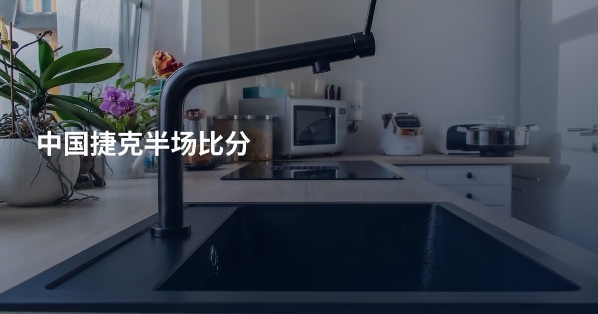 中国捷克半场比分