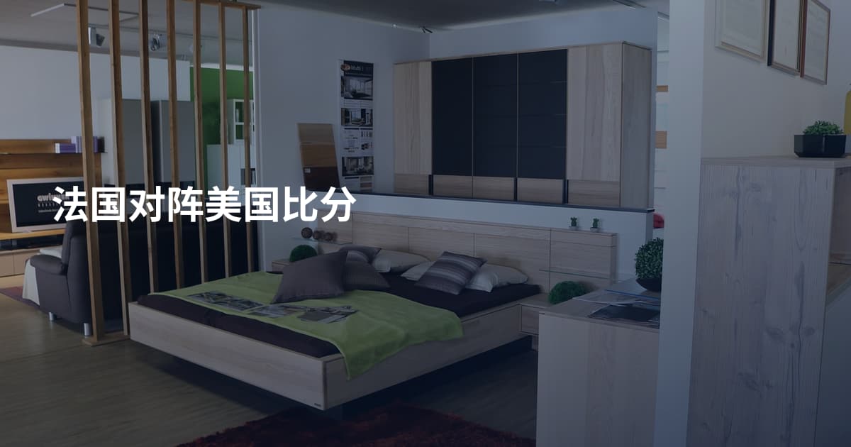 法国对阵美国比分