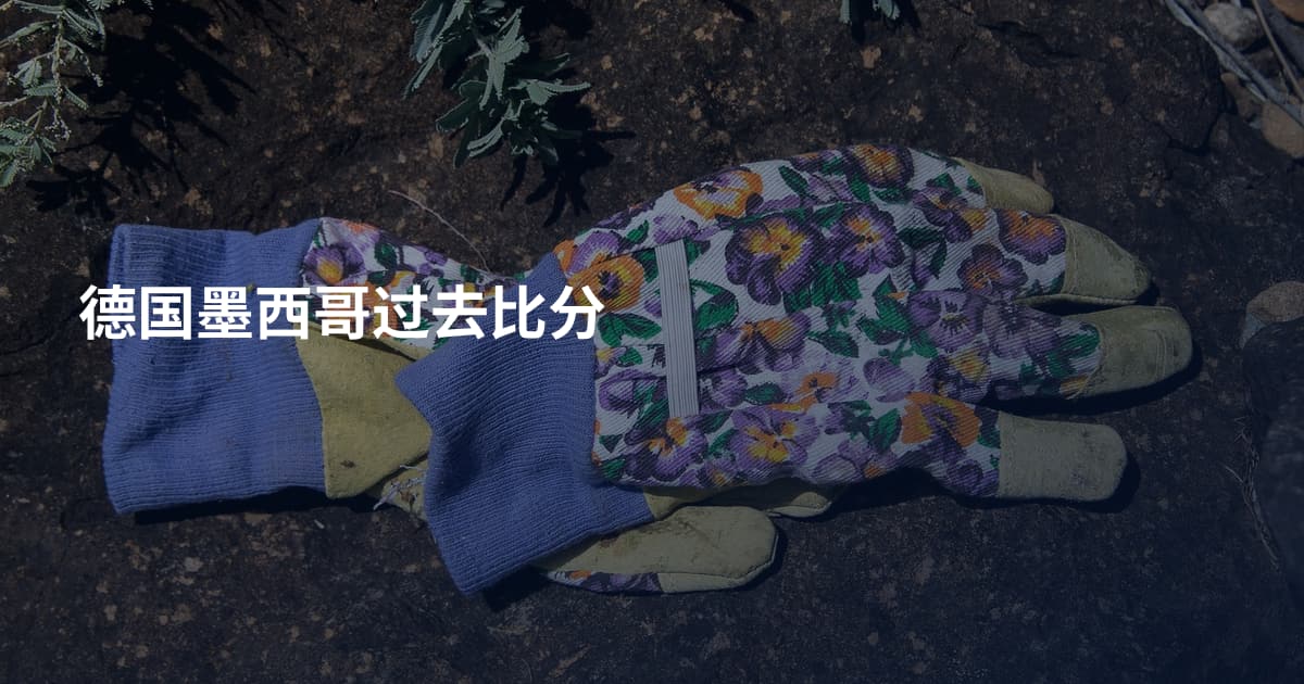 德国墨西哥过去比分