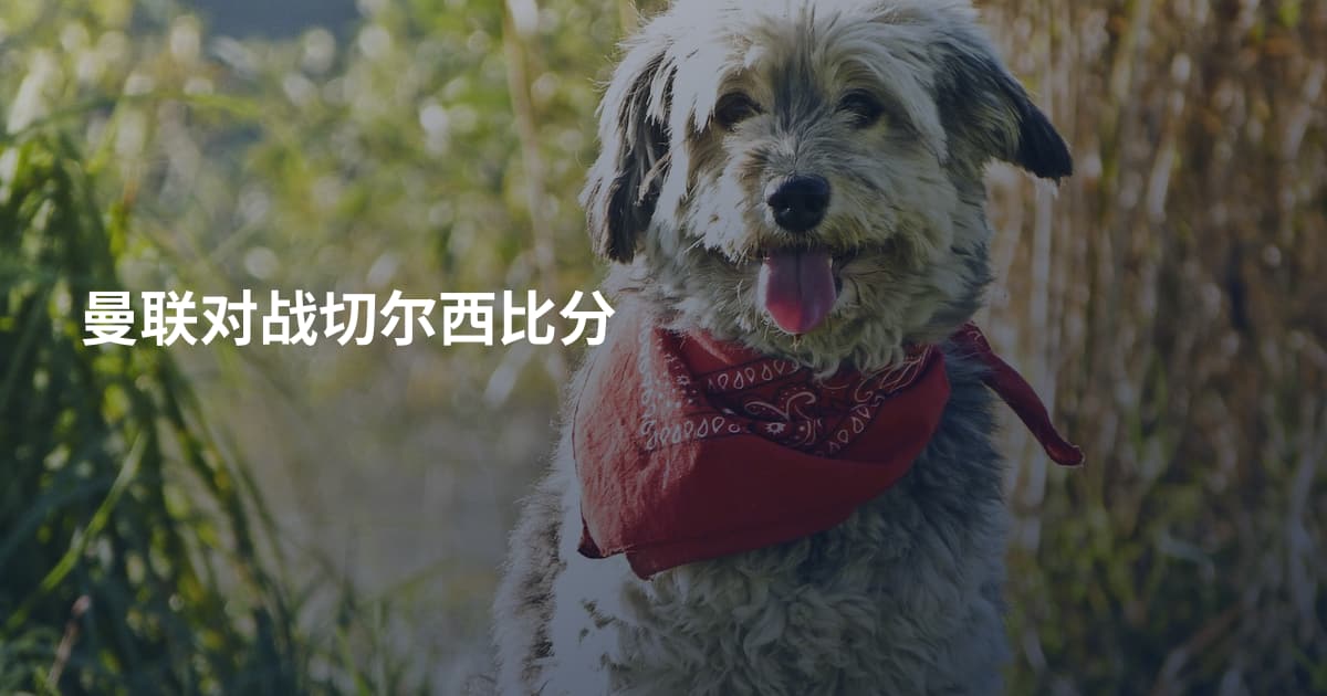 曼联对战切尔西比分