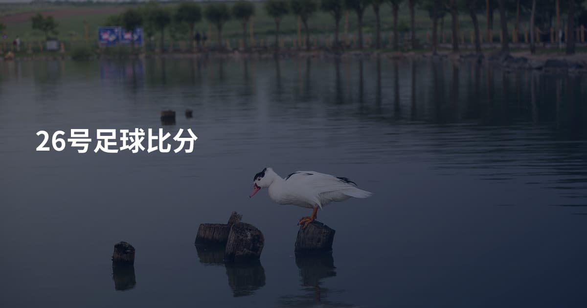 26号足球比分