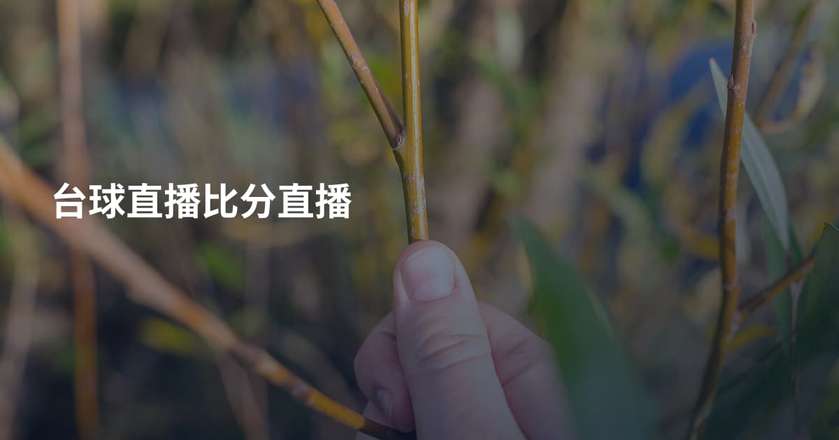 台球直播比分直播