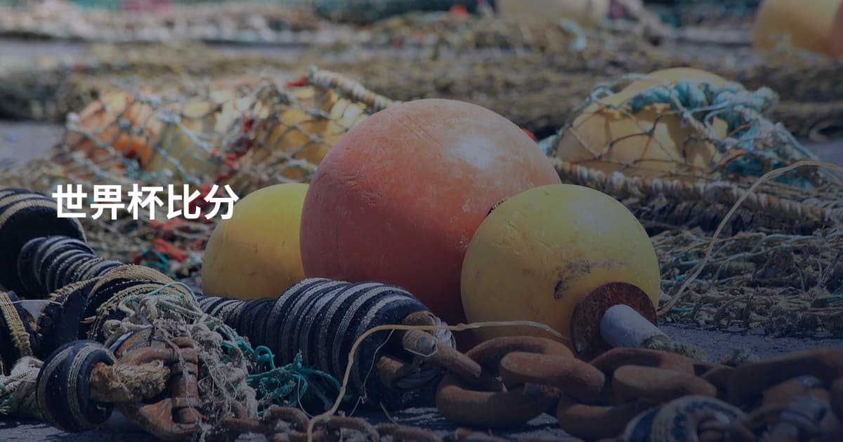 世畀杯比分