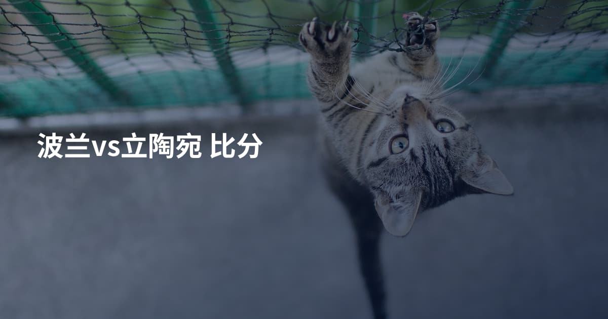 波兰vs立陶宛 比分