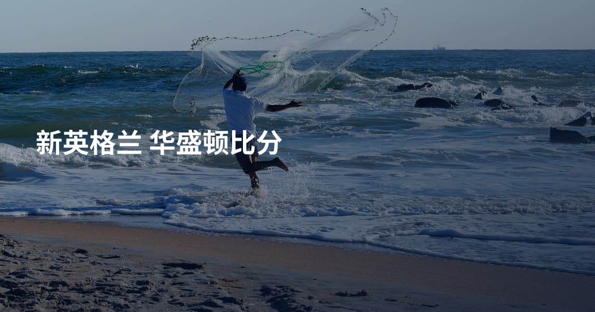 新英格兰 华盛顿比分
