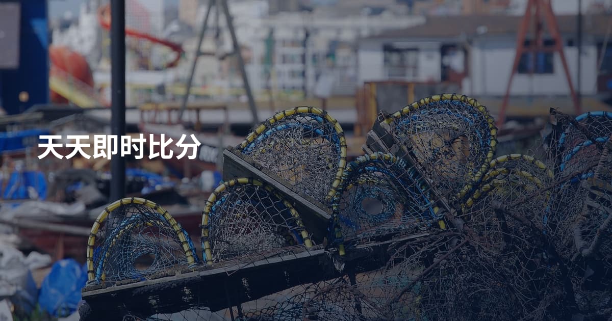 天天即时比分