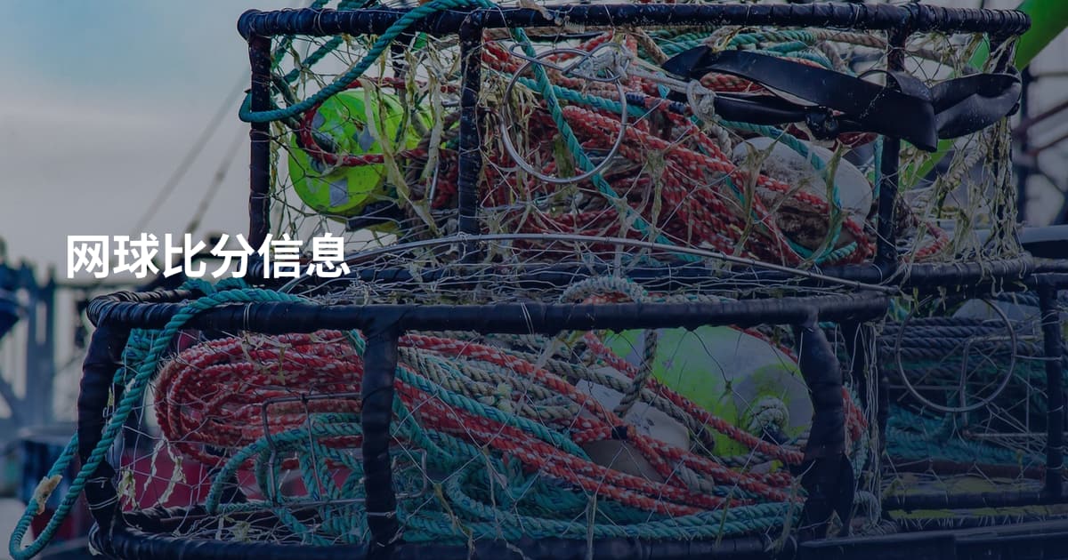 网球比分信息
