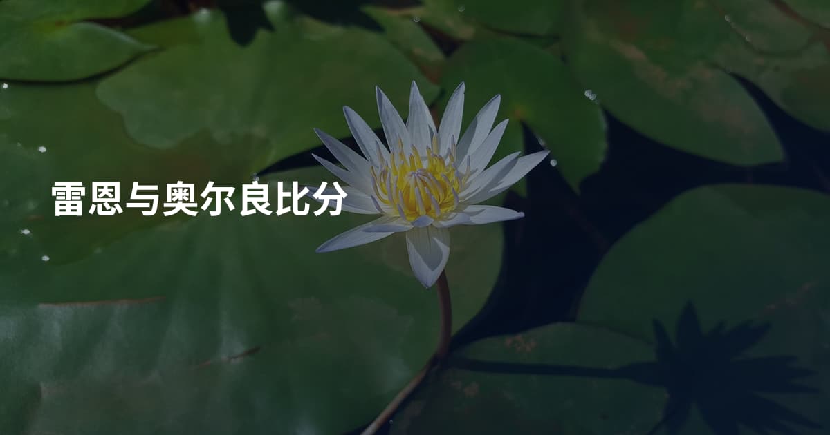 雷恩与奥尔良比分