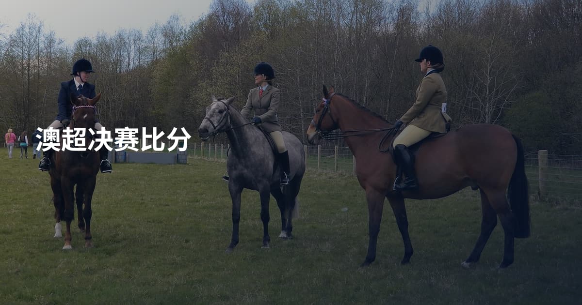 澳超决赛比分