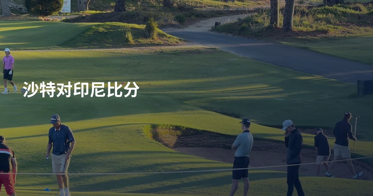 沙特对印尼比分