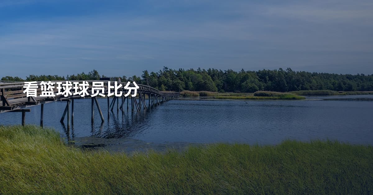 看篮球球员比分