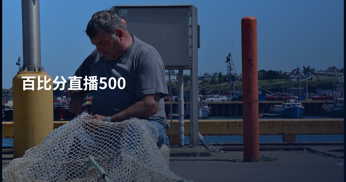 百比分直播500