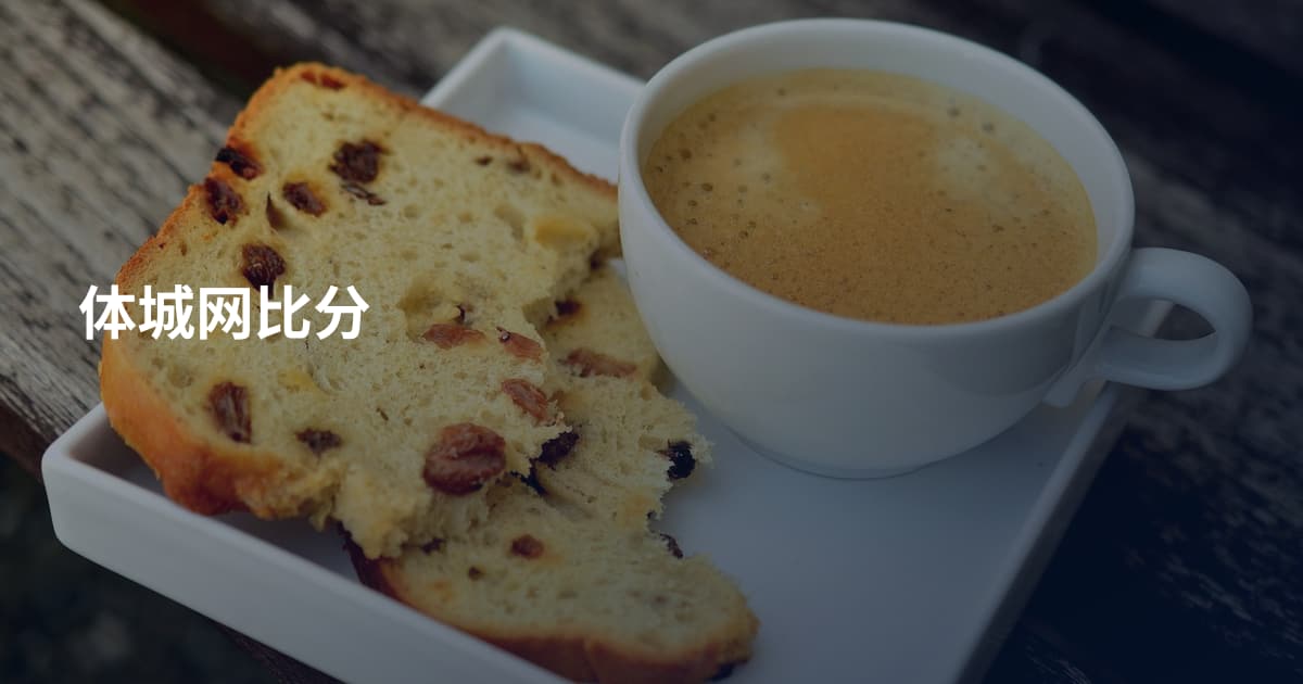 体城网比分