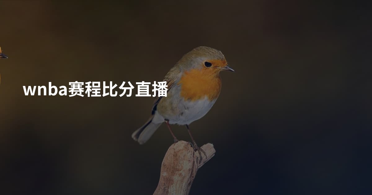 wnba赛程比分直播