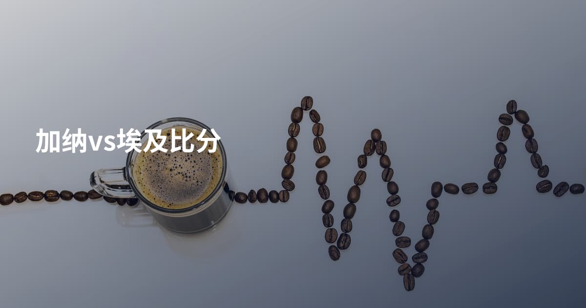 加纳vs埃及比分