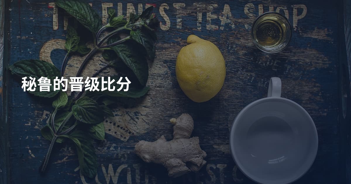 秘鲁的晋级比分