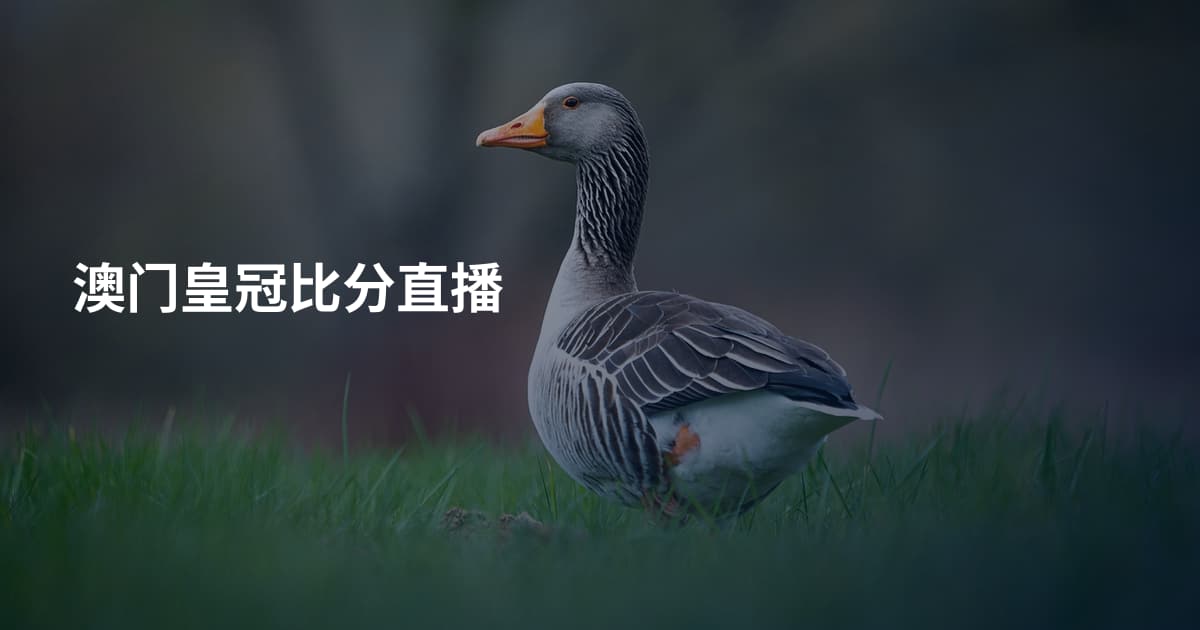 澳门皇冠比分直播