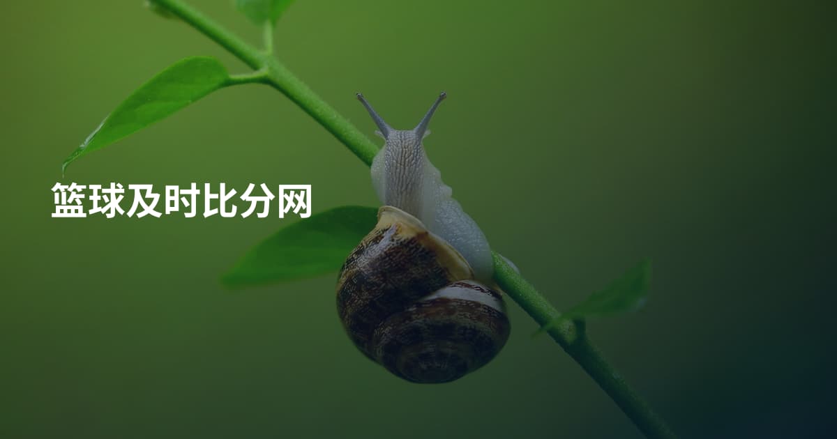 篮球及时比分网