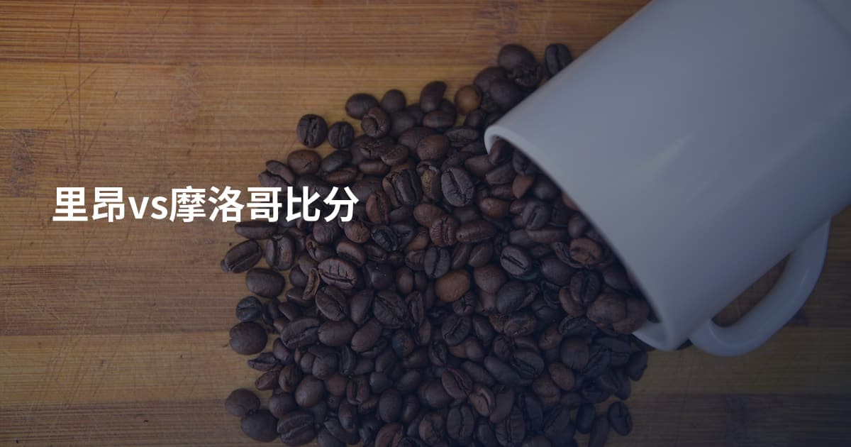 里昂vs摩洛哥比分