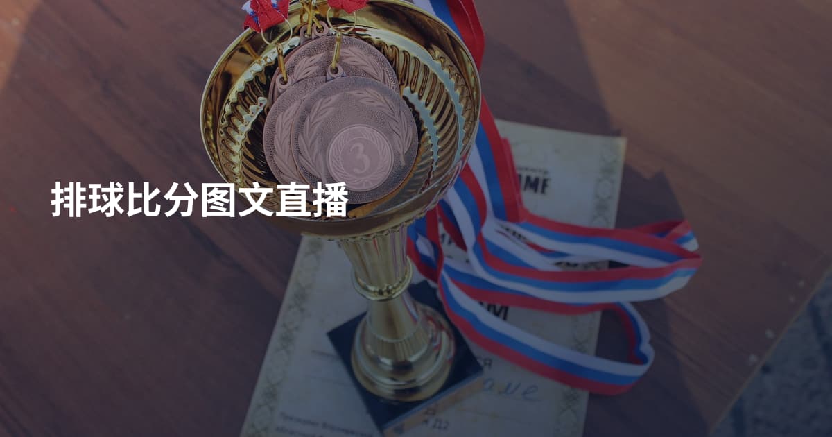 排球比分图文直播