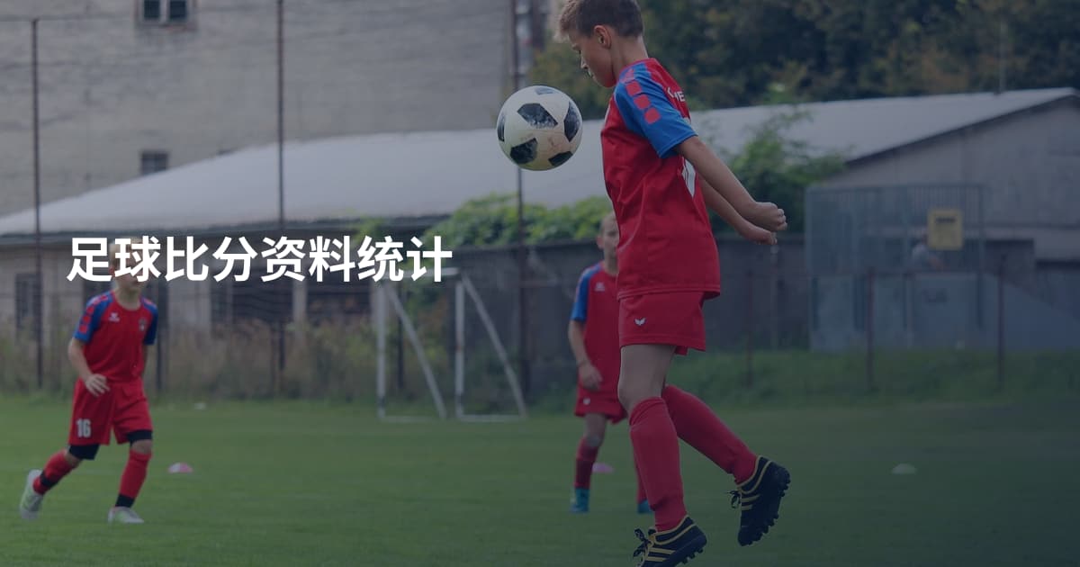 足球比分资料统计