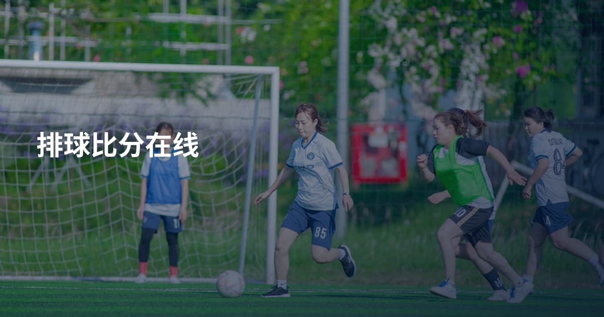 排球比分在线
