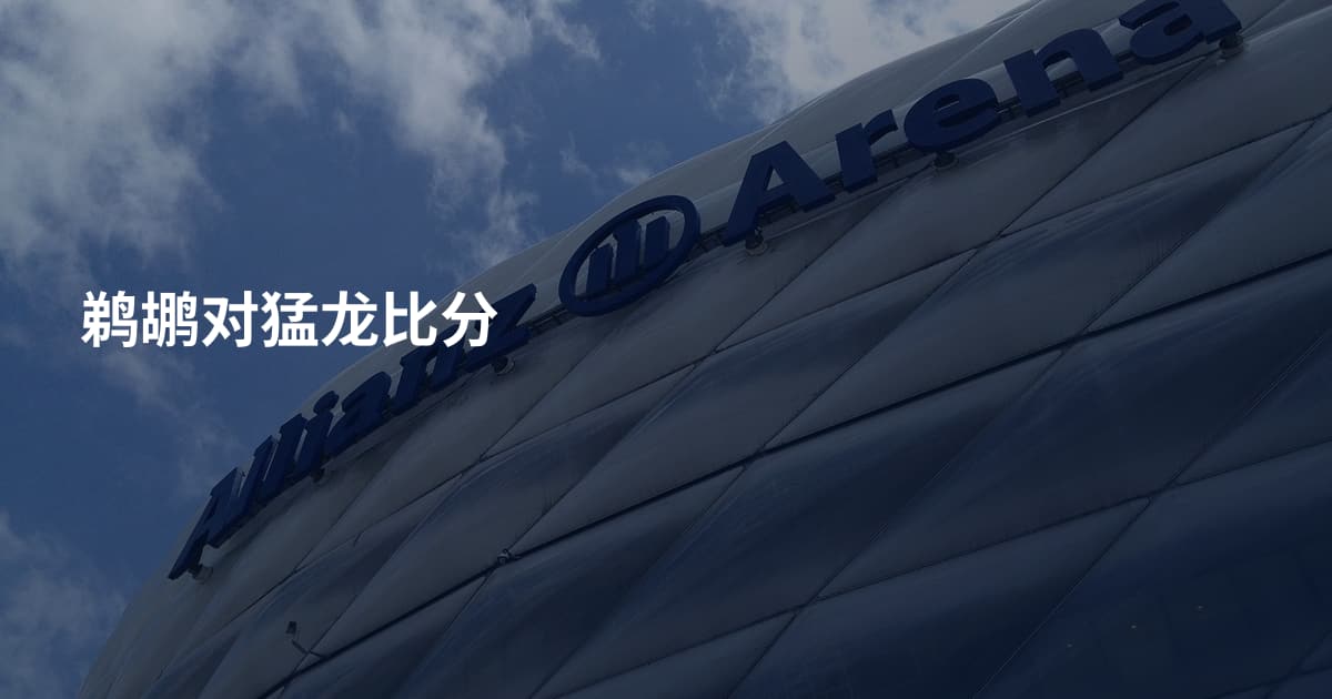 鹈鹕对猛龙比分