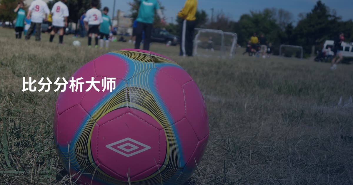 比分分析大师