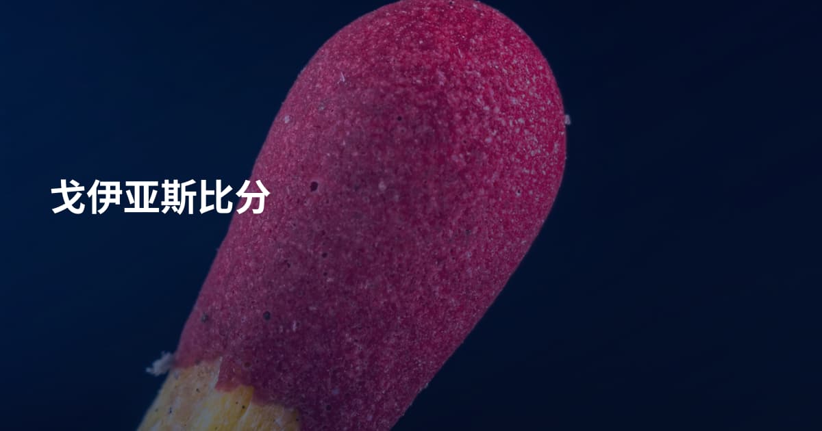 戈伊亚斯比分
